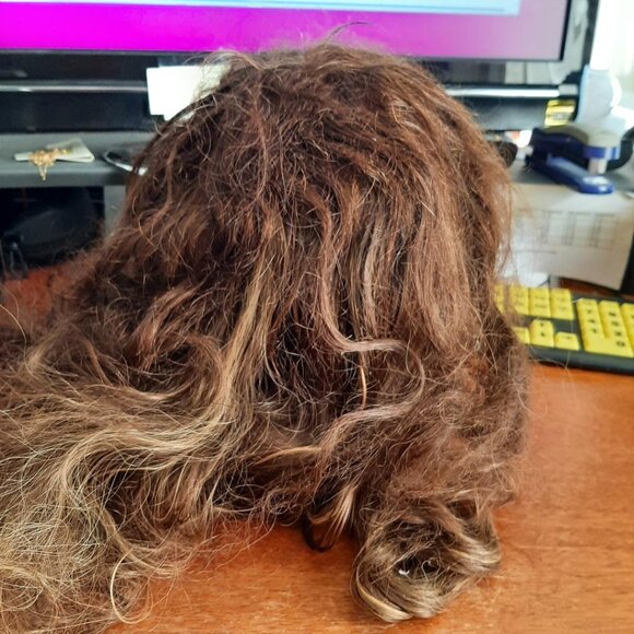 NEW Bag ! Long Hair 25 inch Curly Wig Dark Blonde main image 2